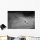Southern Stingray Waits Bottom Wall Decal
