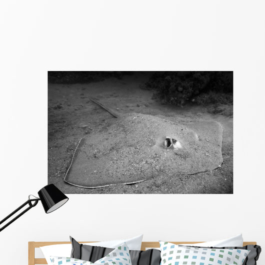 Southern Stingray Waits Bottom Wall Decal