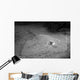 Southern Stingray Waits Bottom Wall Decal