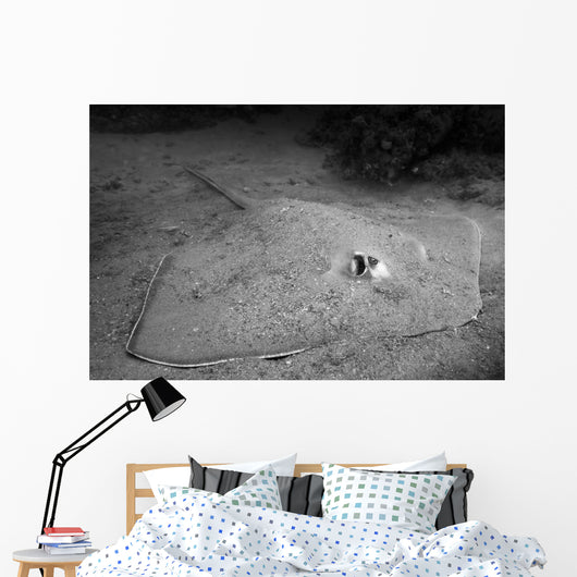 Southern Stingray Waits Bottom Wall Decal