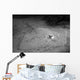 Southern Stingray Waits Bottom Wall Decal