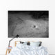 Southern Stingray Waits Bottom Wall Decal