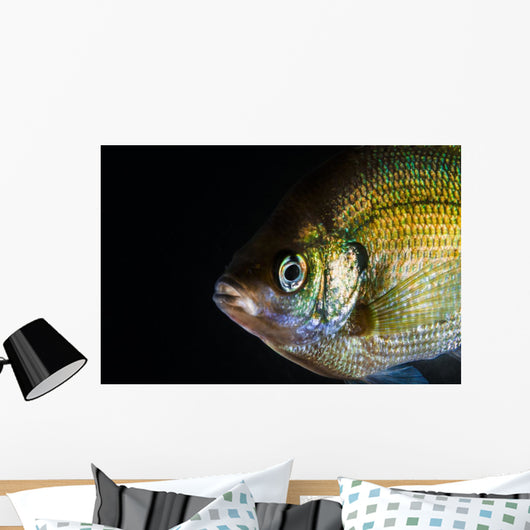 Green Sunfish Wall Decal