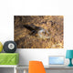 Crawfish Found Oklahoma Cave Wall Decal