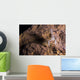 Crawfish Found Oklahoma Cave Front Face Wall Decal