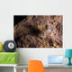 Crawfish Found Oklahoma Cave Front Face Wall Decal