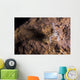 Crawfish Found Oklahoma Cave Front Face Wall Decal