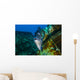 Triggerfish Swimming amongst Usts Close-up Wall Decal