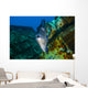 Triggerfish Swimming amongst Usts Close-up Wall Decal