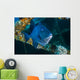 Triggerfish Swimming amongst Usts Wall Decal