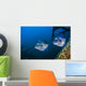 Pair of Triggerfish Swimming amongst Usts Wall Decal