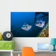 Pair of Triggerfish Swimming amongst Usts Wall Decal