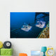 Pair of Triggerfish Swimming amongst Usts Wall Decal