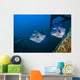 Pair of Triggerfish Swimming amongst Usts Wall Decal