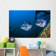 Pair of Triggerfish Swimming amongst Usts Wall Decal