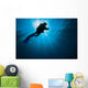 Diver Swimming past Sunlight Wall Decal