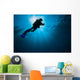 Diver Swimming past Sunlight Wall Decal