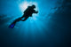 Diver Swimming past Sunlight Wall Decal