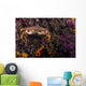 Atlantic Rock Crab Maine Distant Wall Decal