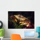 Atlantic Rock Crab Maine Wall Decal