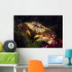 Atlantic Rock Crab Maine Wall Decal