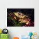Atlantic Rock Crab Maine Wall Decal