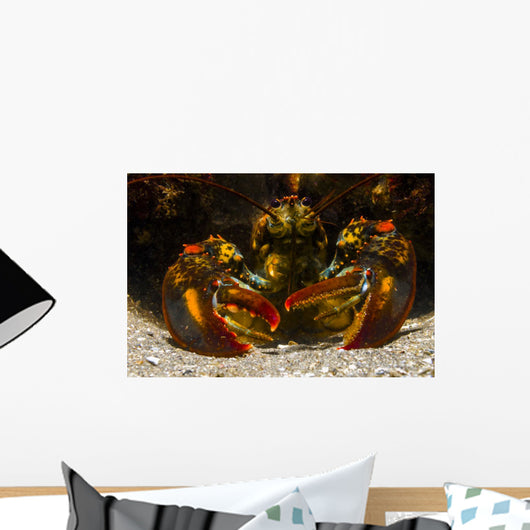 American Lobster Front Maine Close-up Wall Decal