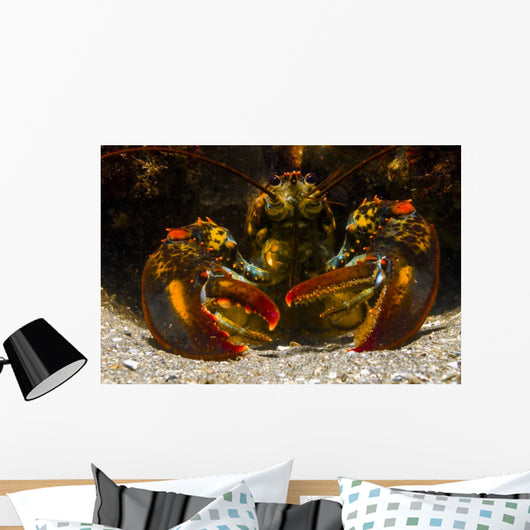 American Lobster Front Maine Close-up Wall Decal