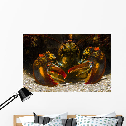 American Lobster Front Maine Close-up Wall Decal