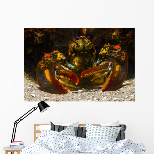American Lobster Front Maine Close-up Wall Decal
