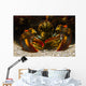 American Lobster Front Maine Close-up Wall Decal