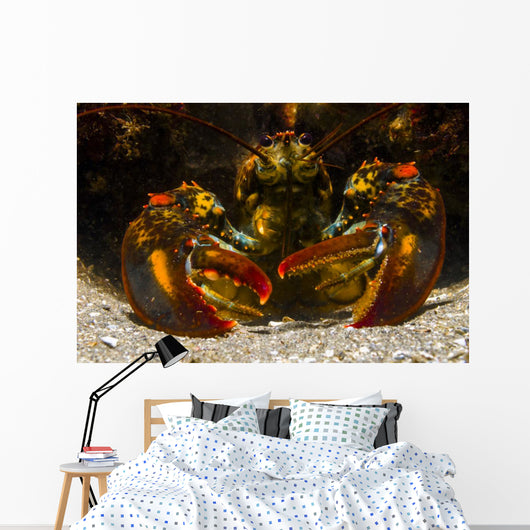 American Lobster Front Maine Close-up Wall Decal