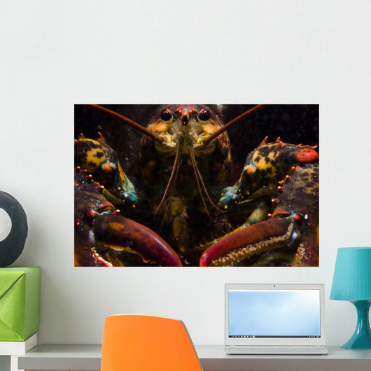 American Lobster Front Maine Wall Decal