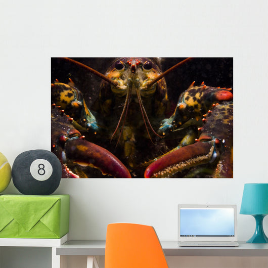 American Lobster Front Maine Wall Decal