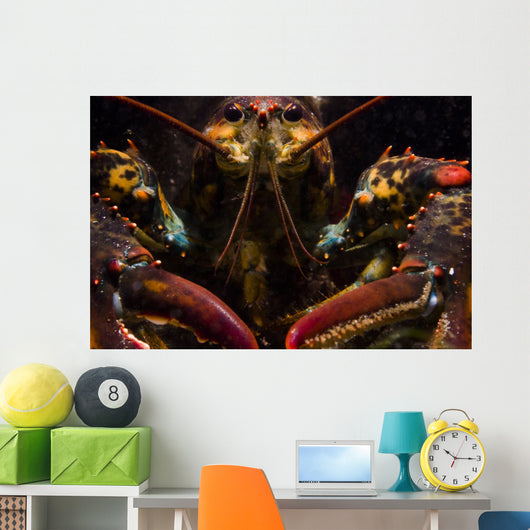 American Lobster Front Maine Wall Decal