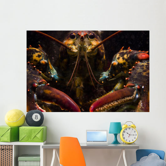 American Lobster Front Maine Wall Decal