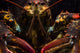 American Lobster Front Maine Wall Decal