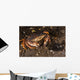 Atlantic Rock Crab Maine Resting Wall Decal