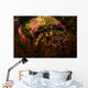 Acadian Hermit Crabs Crawling Wall Decal