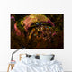 Acadian Hermit Crabs Crawling Wall Decal
