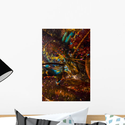 American Lobster Maine Wall Decal