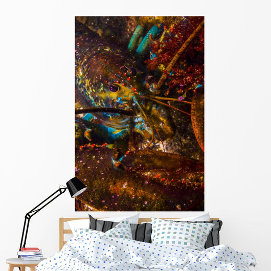 American Lobster Maine Wall Decal