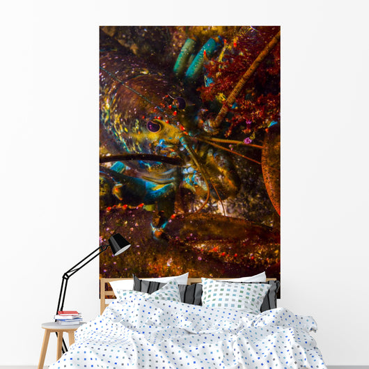American Lobster Maine Wall Decal