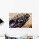 Zebra Mussels Wall Decal