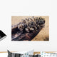 Zebra Mussels Wall Decal