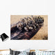 Zebra Mussels Wall Decal