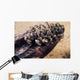 Zebra Mussels Wall Decal