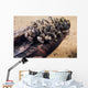 Zebra Mussels Wall Decal