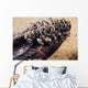 Zebra Mussels Wall Decal