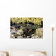 Crawfish Hiding under Rocks Wall Decal